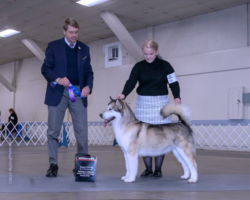 Best of Breed — AMCA National