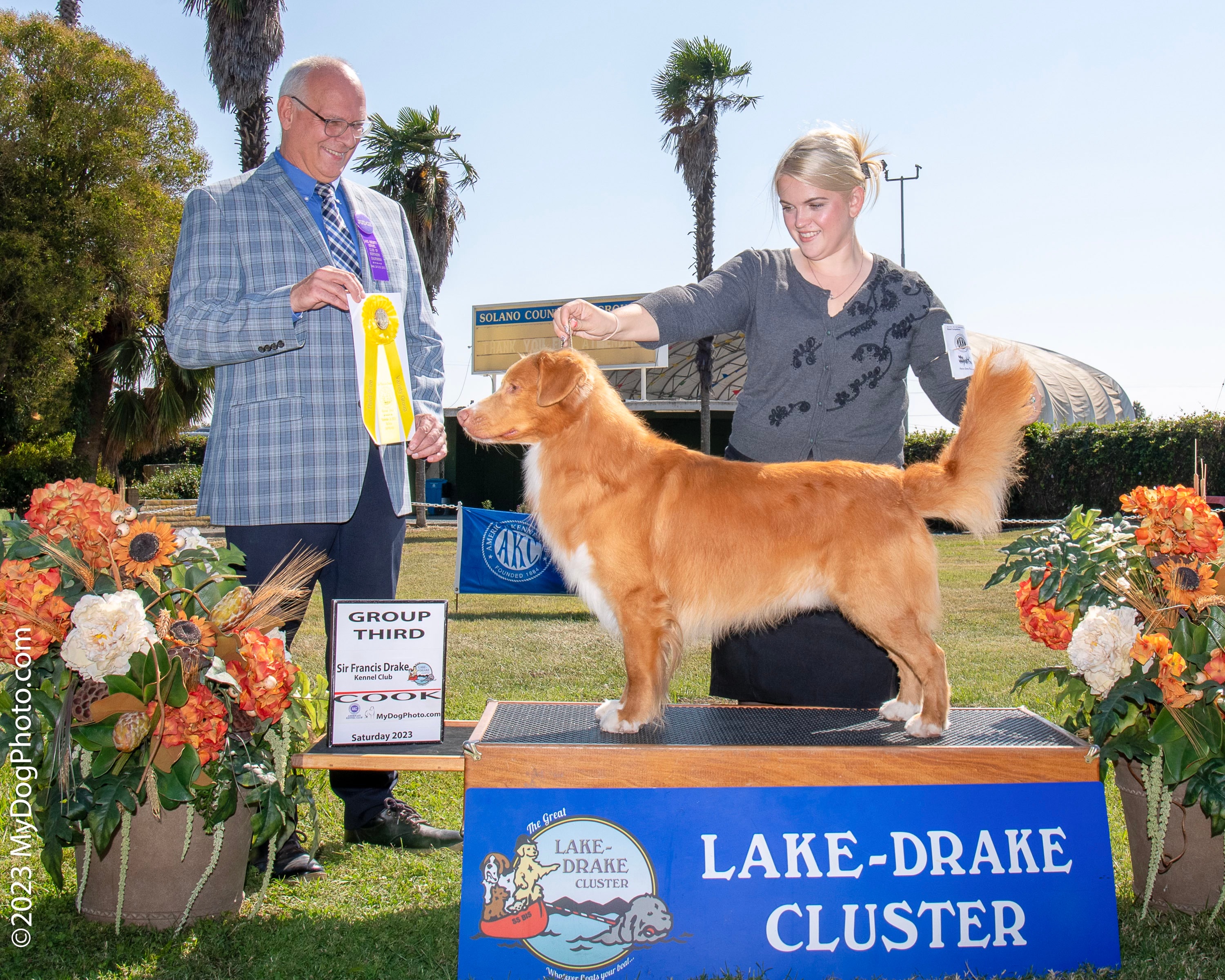 Group placement — All-Breed show