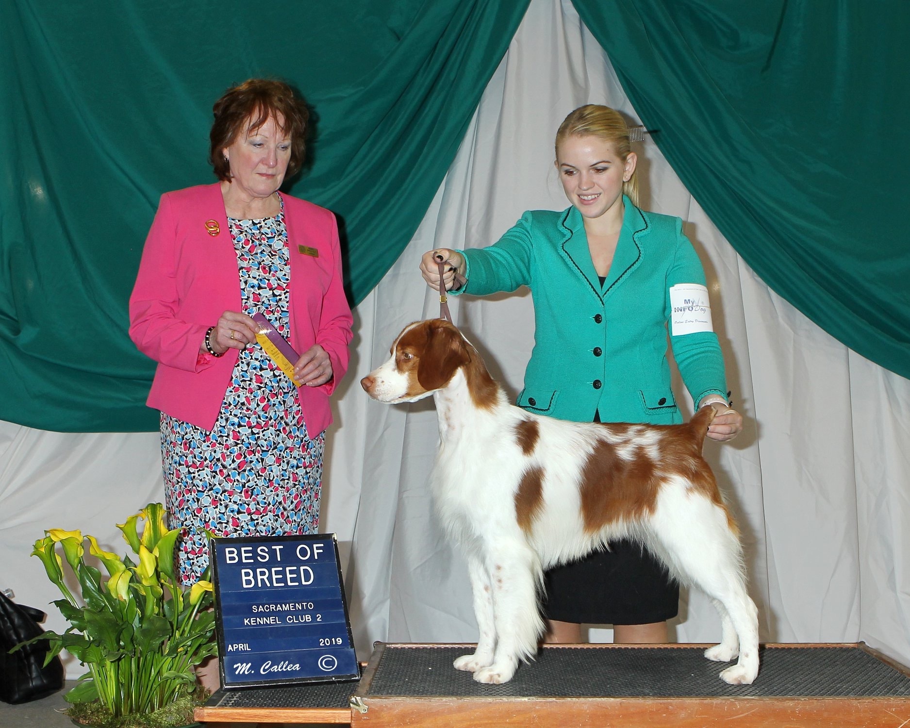 Select Dog — Specialty show