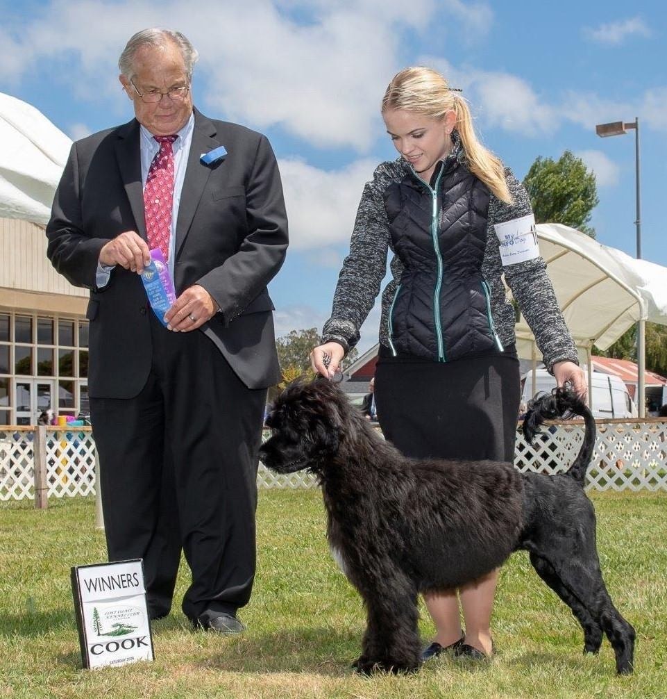 Winners Dog — Regional specialty