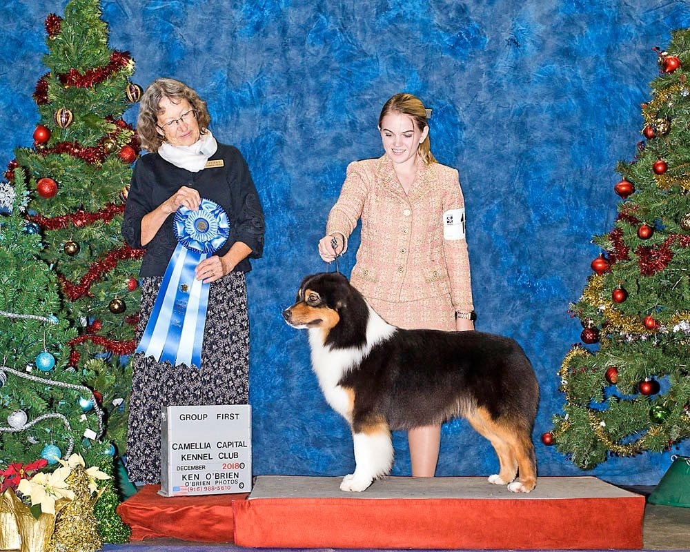Best of Opposite — All-Breed show