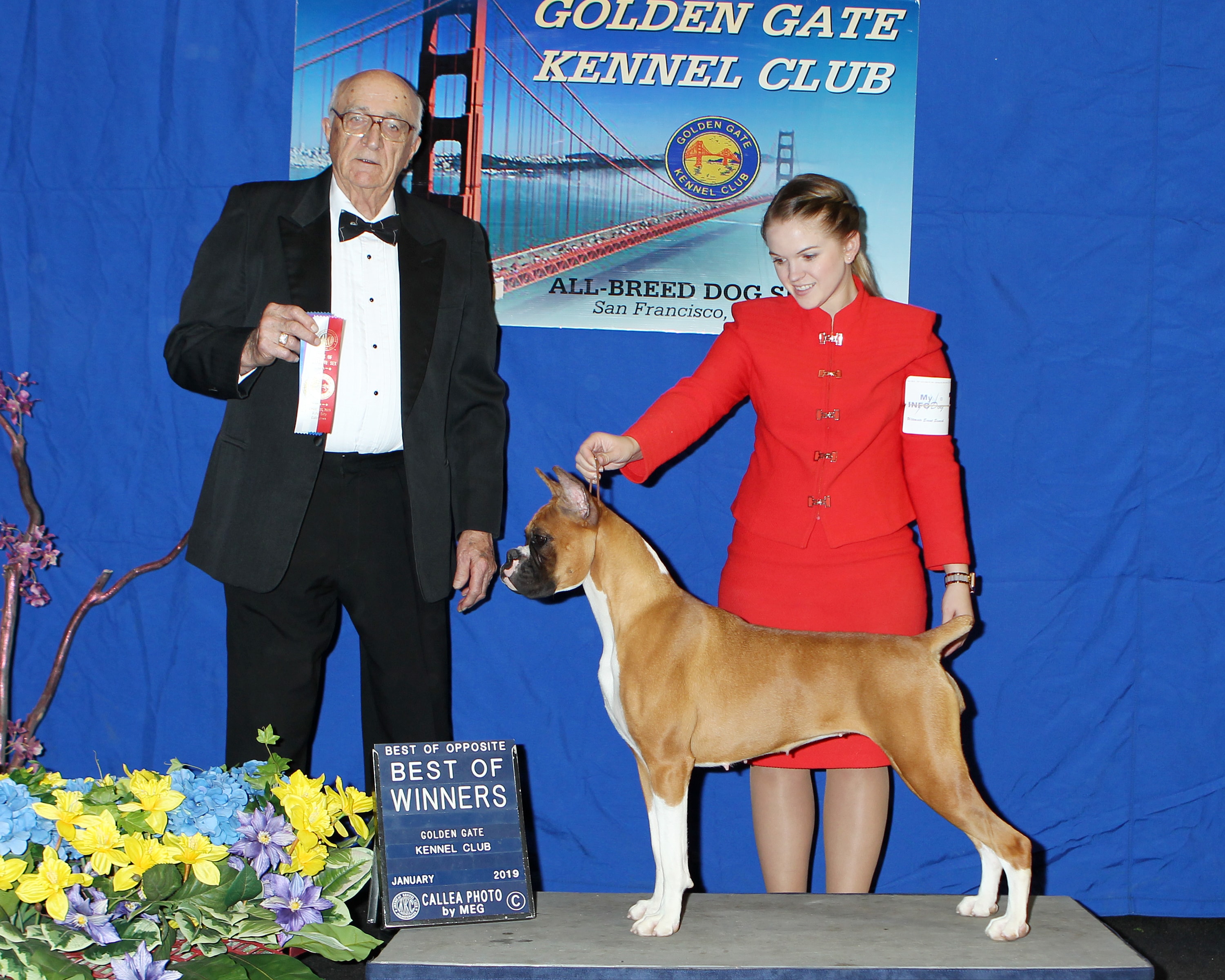 Best of Breed — Specialty show
